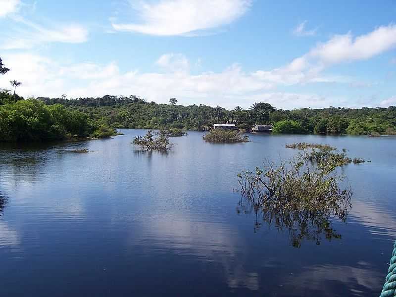 NOVO AIRO-AM-NAVEGANDO EM RIO NA SELVA AMAZNICA-FOTO:SILMARQ - NOVO AIRO - AM