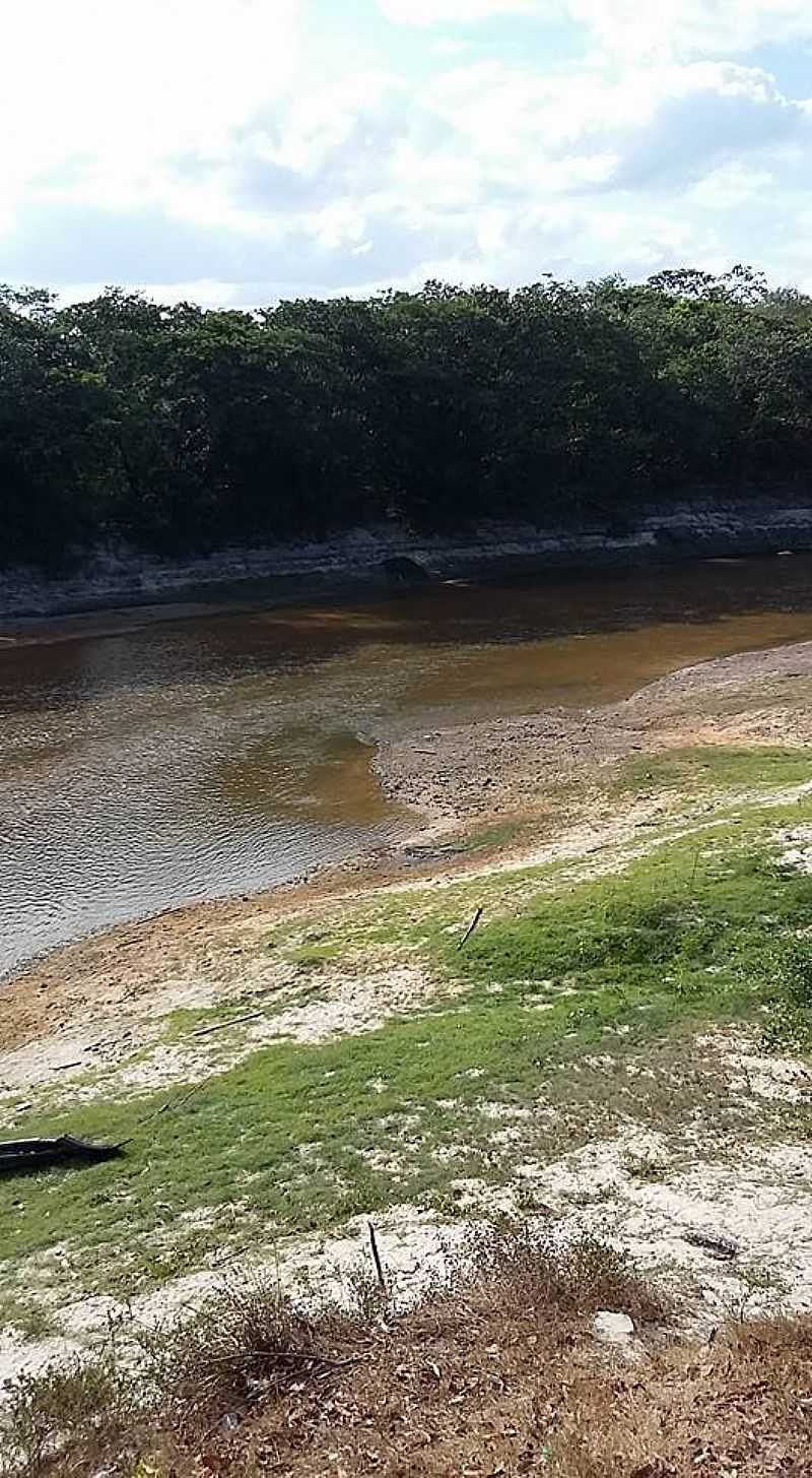 IMAGENS DE PEDRO DO ROSRIO - MA - PEDRO DO ROSRIO - MA