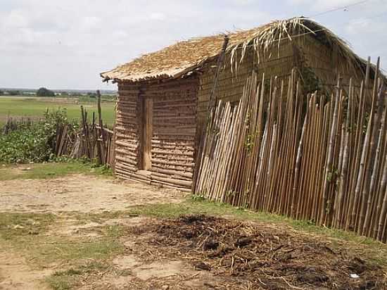 PENALVA-MA-CASEBRE EM REA RURAL-FOTO:LOYS  - PENALVA - MA