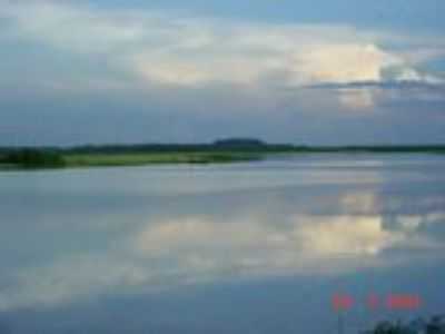 PINHEIRO, POR FABIANA LEITE SPARES PEREIRA - PINHEIRO - MA