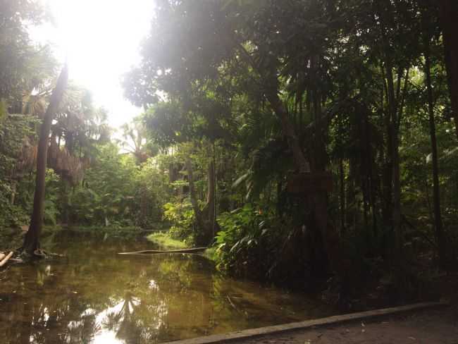 RIO DO MUNDURI EM RABECA, POR GREICY KELLY - PORTO RICO DO MARANHO - MA