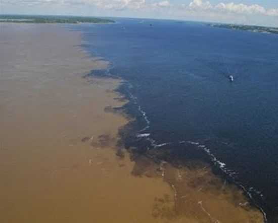 ENTRE PARINTINS E MANAUS, POR CAIO SILVA - PARINTINS - AM