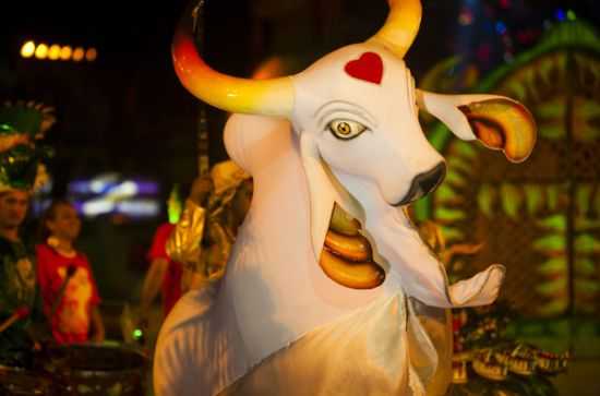 BOI BUMB GARANTIDO, POR CECLIA MARTINS - PARINTINS - AM