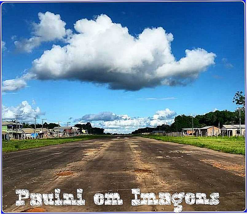 PAUINI - AMAZONAS FOTO PAUINI EM IMAGENS - PAUINI - AM