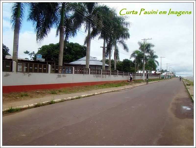 PAUINI - AMAZONAS FOTO PAUINI EM IMAGENS - PAUINI - AM