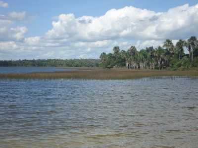 LOGOA DA LUCIA, POR JUNIOR MESQUITA - SO BENEDITO DO RIO PRETO - MA