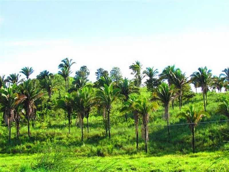 IMAGENS DA CIDADE DE SO DOMINGOS DO MARANHO - MA - SO DOMINGOS DO MARANHO - MA