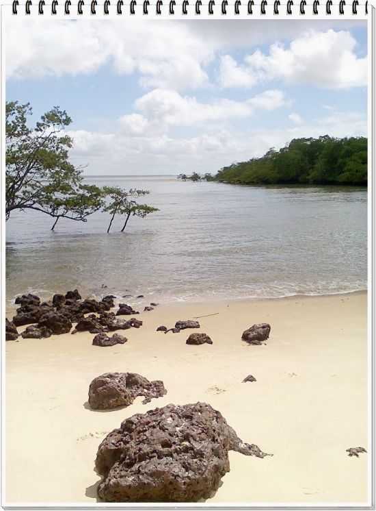 SO JOO DE CORTES-MA-PRAINHAFOTO:SINDOVAL DE JESUS COSTA - SO JOO DE CORTES - MA