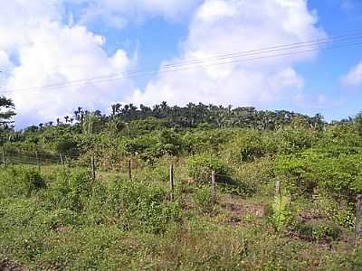 MORRO DOS CCOS EM SO MATEUS DO MARANHO, POR VALDEMIR ERVIN ROSALES. - SO MATEUS DO MARANHO - MA