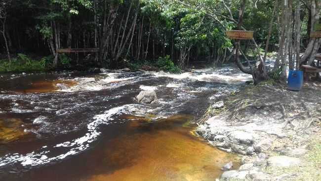 CORREDEIRA DOS PASSROS, POR JONE UCHA CARNEIRO - PRESIDENTE FIGUEIREDO - AM