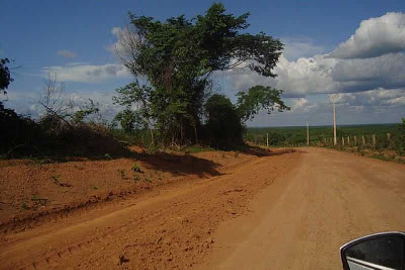 SO RAIMUNDO DO DOCA BEZERRA-MA-ESTRADA DO POVOADO-FOTO:CARLINHOS - SO RAIMUNDO DO DOCA BEZERRA - MA