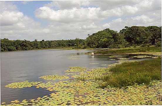 RIO PAXIBA, QUE ABASTECE A CIDADE!  , POR JACKELINE VAL - TURIAU - MA