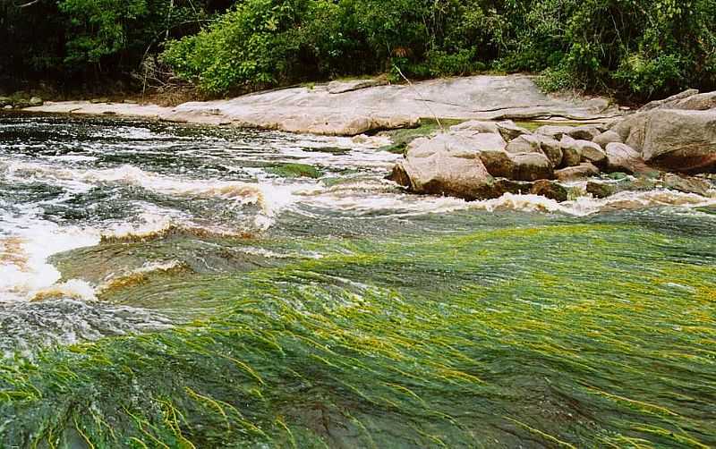 SANTA ISABEL DO RIO NEGRO-AM-CACHOEIRA DO ARACU-FOTO:LESLIE TAVARES - SANTA ISABEL DO RIO NEGRO - AM