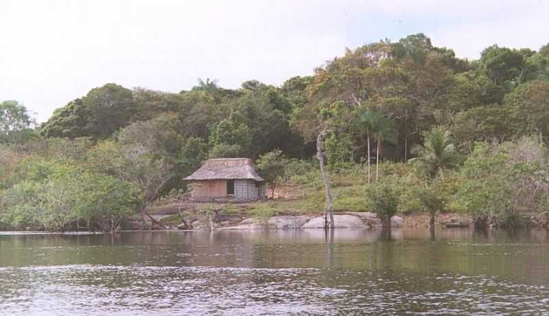 SANTA ISABEL DO RIO NEGRO-AM-CASA RIBEIRINHA-FOTO:LESLIE TAVARES - SANTA ISABEL DO RIO NEGRO - AM