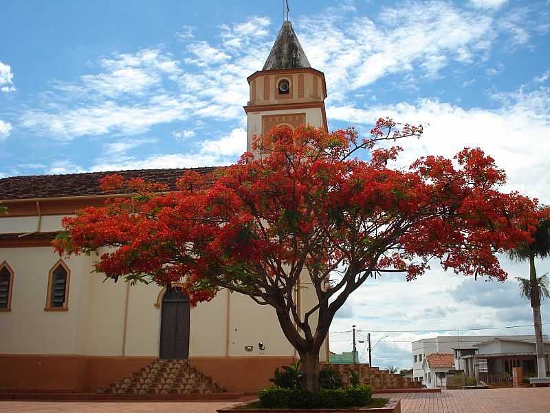 ABADIA DOS DOURADOS-MG-FLAMBOYANT AO LADO DA MATRIZ-FOTO:EDUARDO REVOREDO - ABADIA DOS DOURADOS - MG