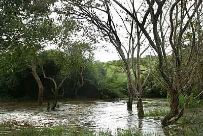 RIO MOSQUITO, POR ERALDO PERES. - GUAS VERMELHAS - MG