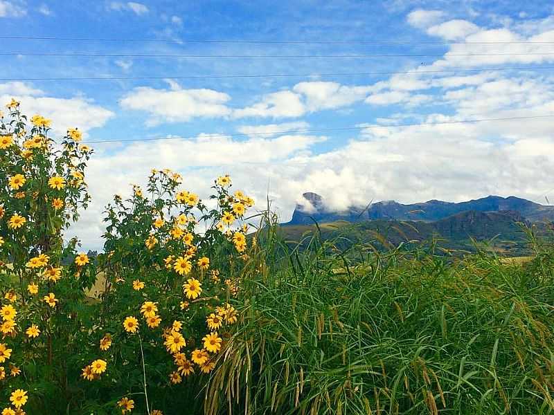 AIURUOCA - MINAS GERAIS - AIURUOCA - MG