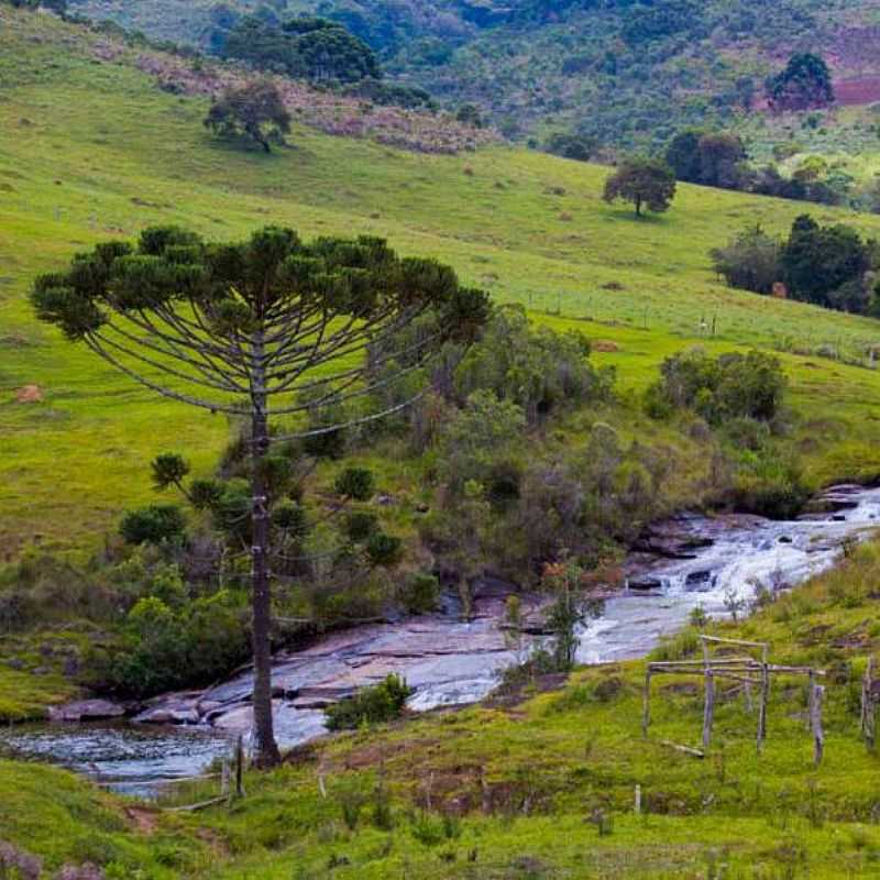 AIURUOCA - MINAS GERAIS - AIURUOCA - MG