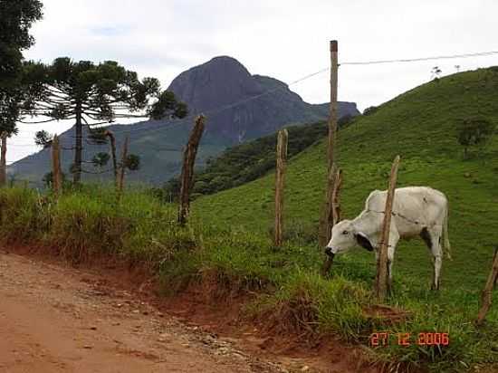 O PICO E O ZEBU,REA RURAL EM AIURUOCA-FOTO:TIAGO CAVALCANTE - AIURUOCA - MG