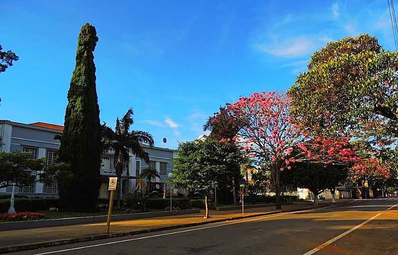 IMAGENS DA CIDADE DE ALFENAS - MG - ALFENAS - MG