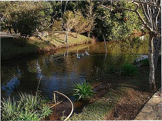 LAGO DO ZOOLGICO MUNICIPAL EM ALFENAS-FOTO:LUCIANO DUARTE E ELA - ALFENAS - MG