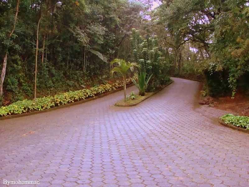 ALTO CAPARA-MG-CAMINHO NO PARQUE NACIONAL DO CAPARA-FOTO:MOHAMMADALBERTH - ALTO CAPARA - MG