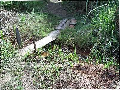 ZONA RURAL DE ALTO CAPIM, POR JOO MEDEIROS - ALTO CAPIM - MG