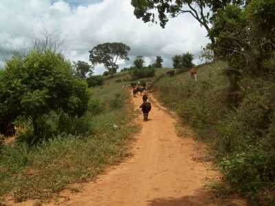 ZONA RURAL DE ALTO CAPIM, POR JOO MEDEIROS - ALTO CAPIM - MG