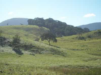ZONA RURAL DE ALTO CAPIM, POR JOO MEDEIROS - ALTO CAPIM - MG
