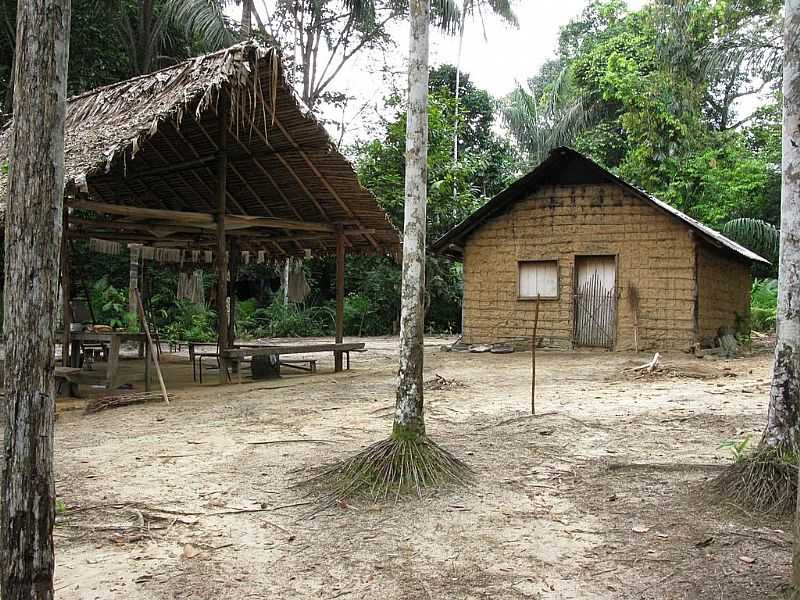 SO GABRIEL DA CACHOEIRA-AM-IMAGEM RURAL-FOTO:PETER VAN DER SLEEN - SO GABRIEL DA CACHOEIRA - AM