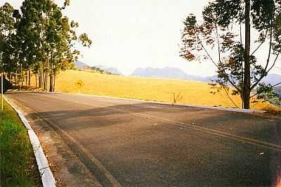 ESTRADA DE ALTO JEQUITIB-FOTO:ANTONIOJVIDAL  - ALTO JEQUITIB - MG