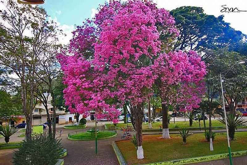 IMAGENS DA CIDADE DE ALVINPOLIS - MG - ALVINPOLIS - MG