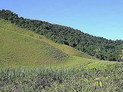 FAZENDA-FOTO:FELIPERCSILVA  - AMPARO DA SERRA - MG