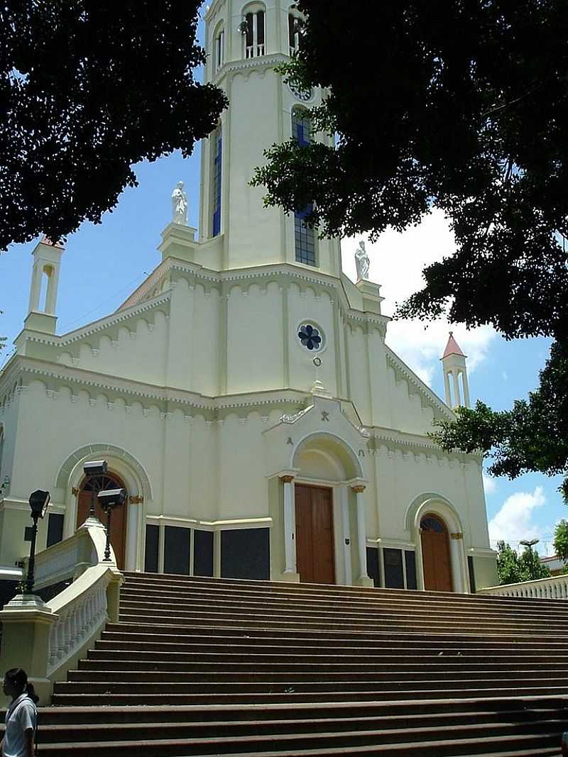 ANDRADAS-MG-MATRIZ DE SO SEBASTIO-FOTO:ROGRIO SANTOS PEREIRA - ANDRADAS - MG