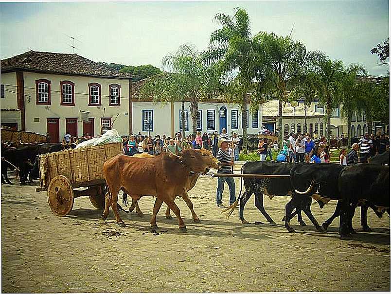 IMAGENS DA CIDADE DE ANDRELNDIA - MG - ANDRELNDIA - MG