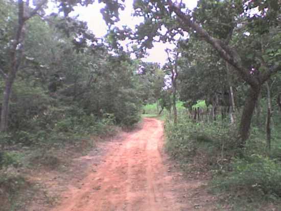 A CAMINHO DA ROA, POR GILSON SOARES - ANGICOS DE MINAS - MG