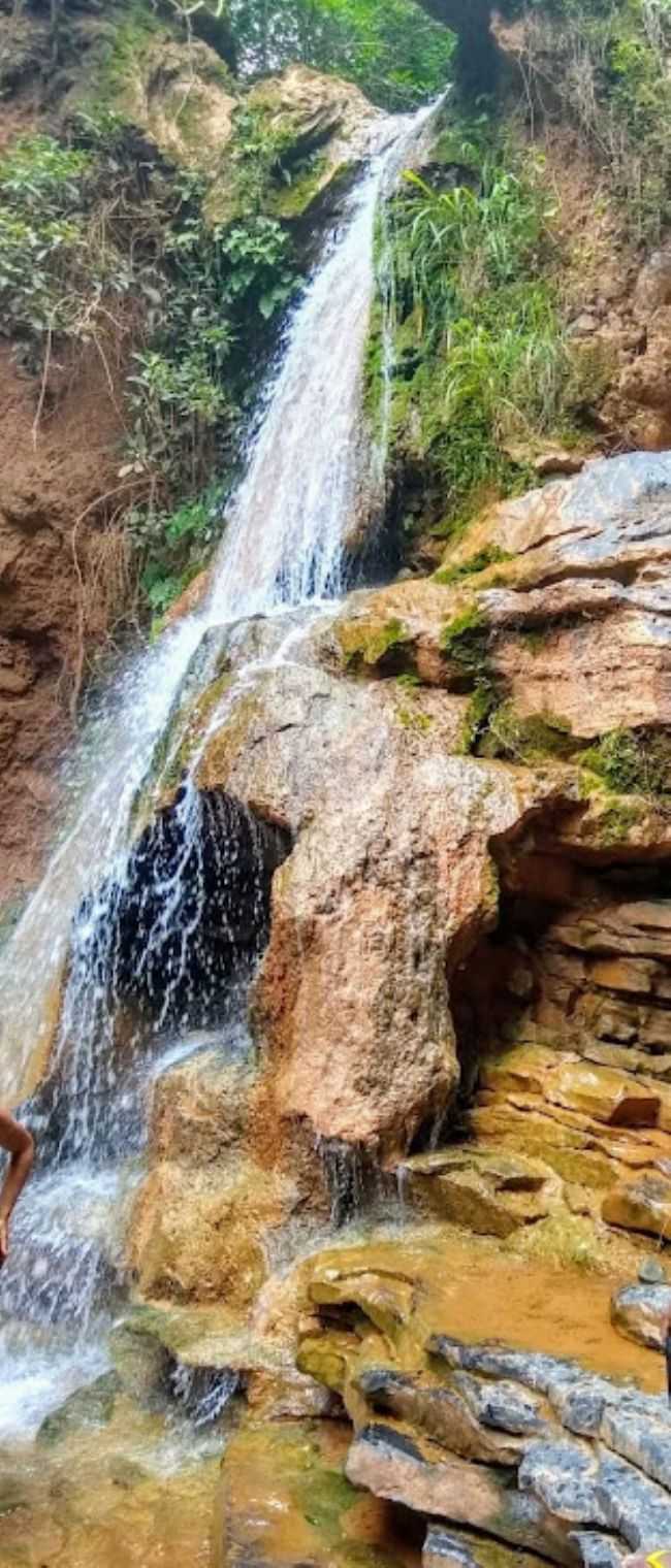 , POR DRIELE - ANGICOS DE MINAS - MG
