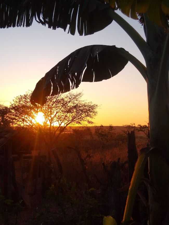 , POR DRIELE - ANGICOS DE MINAS - MG