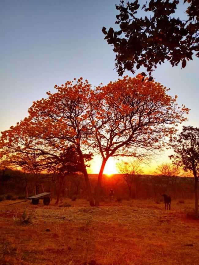 , POR DRIELE - ANGICOS DE MINAS - MG