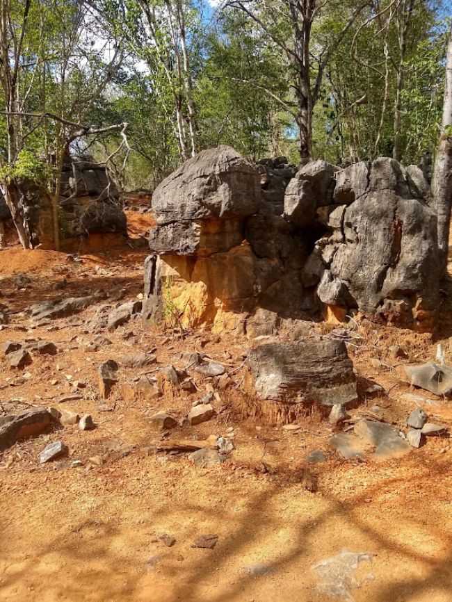 , POR DRIELE - ANGICOS DE MINAS - MG