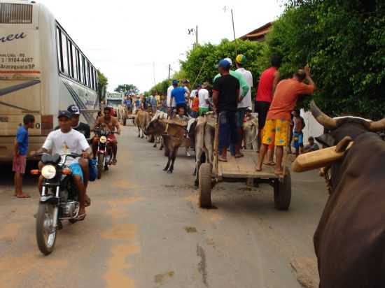 PASSEATA DE CARRO DE BOI.ANGICOS DE MINAS, POR CARLOS ALBERTO DOS SANTOS - ANGICOS DE MINAS - MG