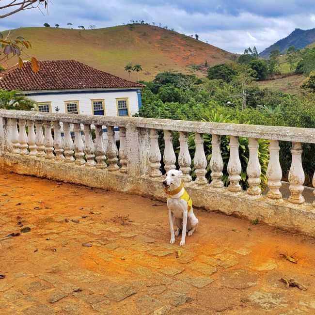 REA EXTERNA DA IGREJA, POR INSTAGRAM: ALINEZINHARS - ANGUSTURA - MG