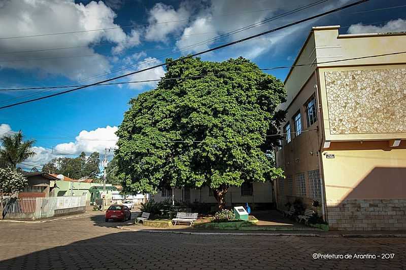 IMAGENS DA CIDADE DE ARANTINA - MG FOTO PREFEITURA MUNICIPAL - ARANTINA - MG