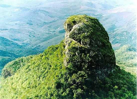 PICO DO BON - ARAPONGA - MG