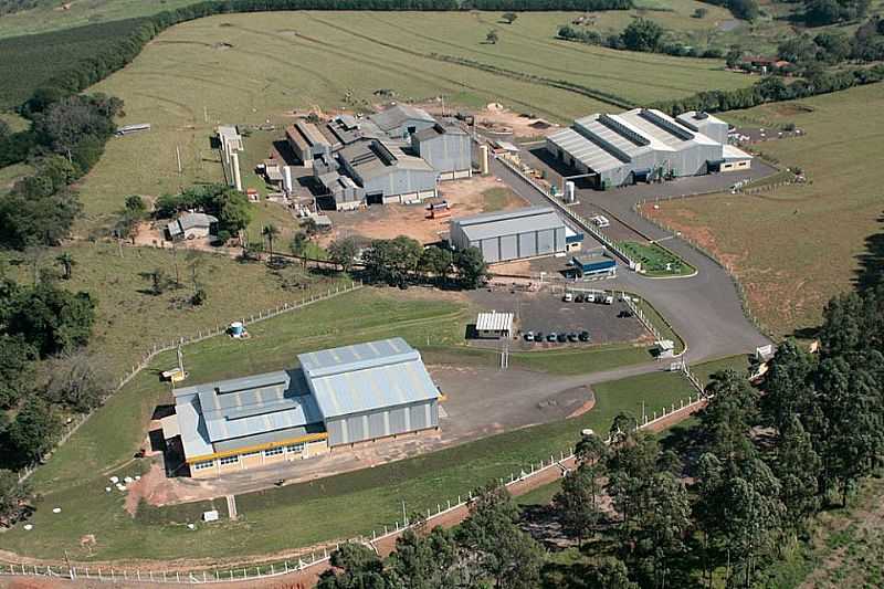 FOTOS DE ARCEBURGO - MINAS GERAIS - ARCEBURGO - MG