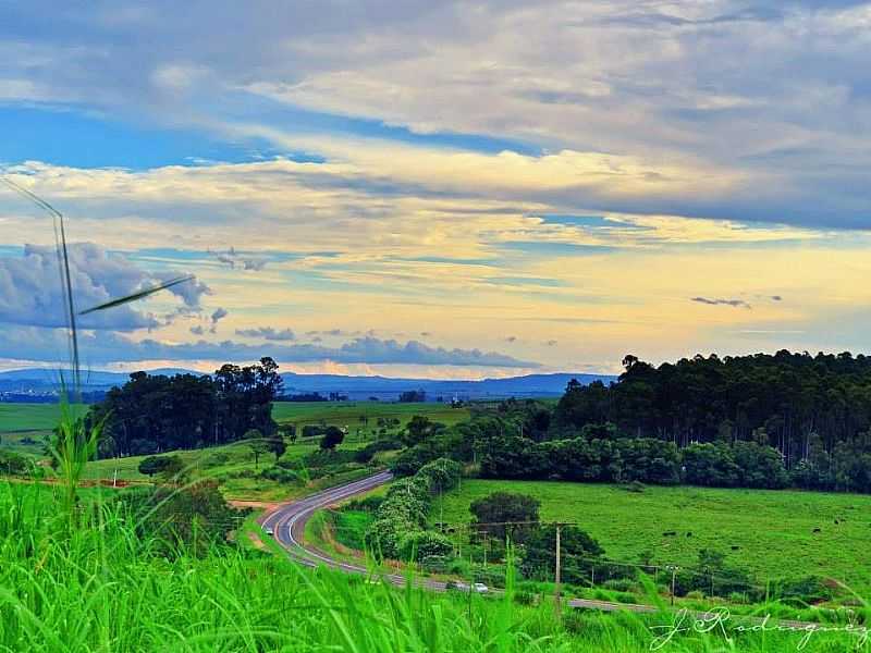 FOTOS DE ARCEBURGO - MINAS GERAIS - ARCEBURGO - MG