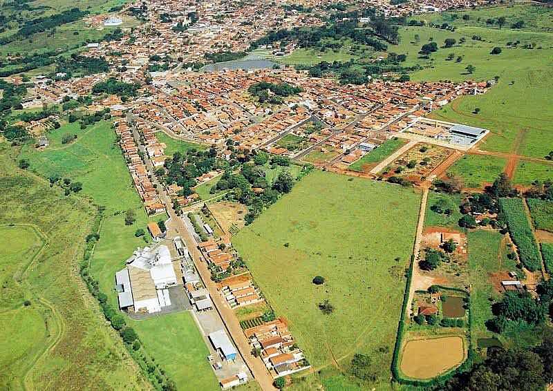 FOTOS DE ARCEBURGO - MINAS GERAIS - ARCEBURGO - MG