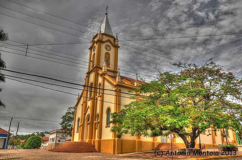 FOTOS DE ARCEBURGO - MINAS GERAIS - ARCEBURGO - MG