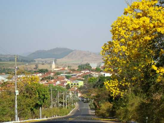 IP FLORIDO NA ENTRADA DA CIDADE, -  POR IARA NICOLA - ARCEBURGO - MG