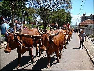 DESFILE DE CARRO DE BOI, POR LEANDRO BORGES - AREADO - MG